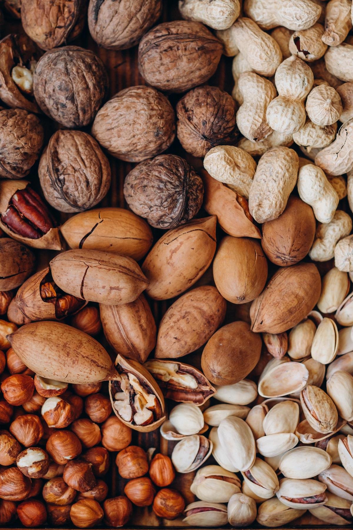 Image description: A diagram showing the anatomy of a nut.